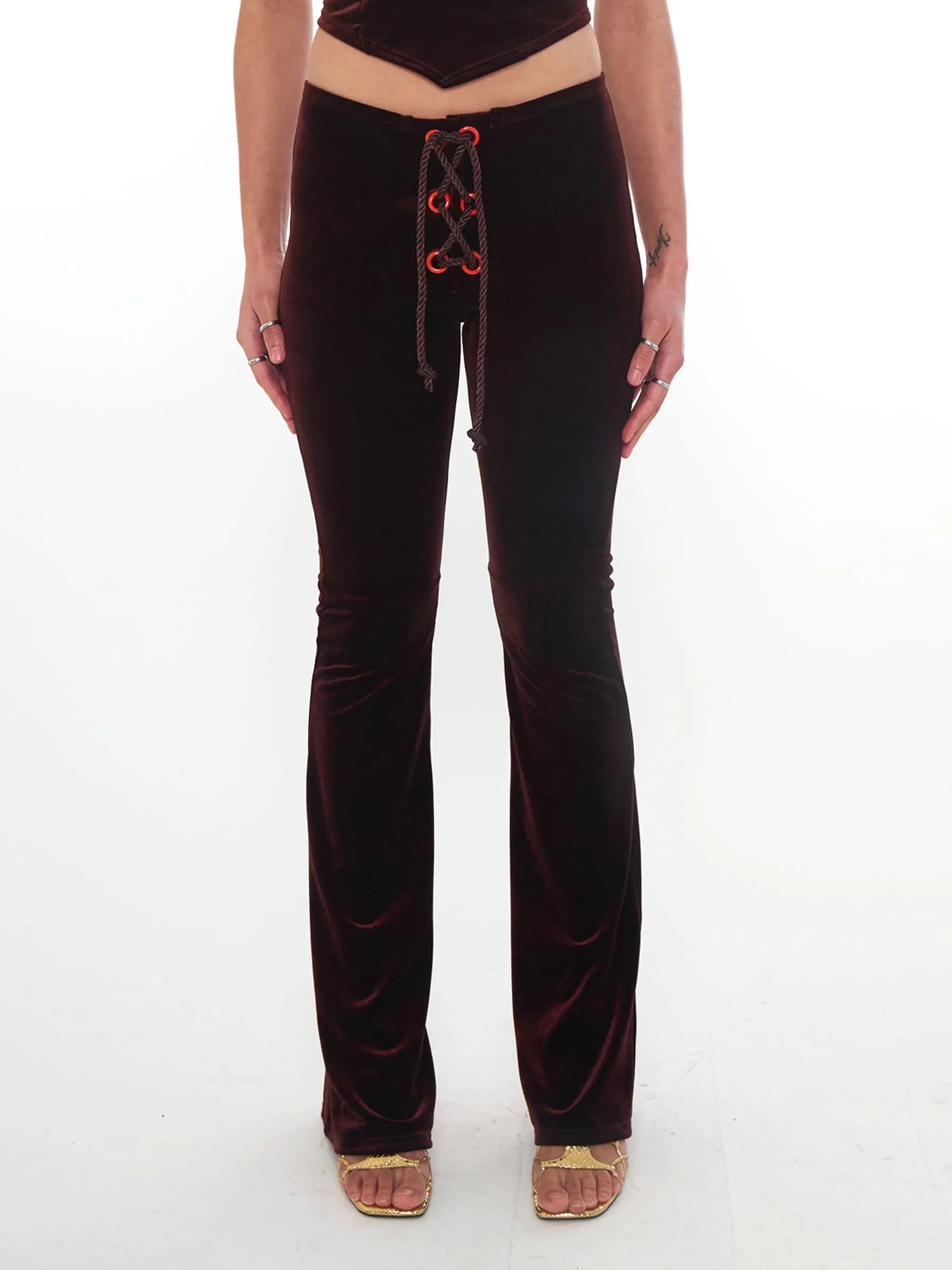 Velvet Jovie Pant in Mocha